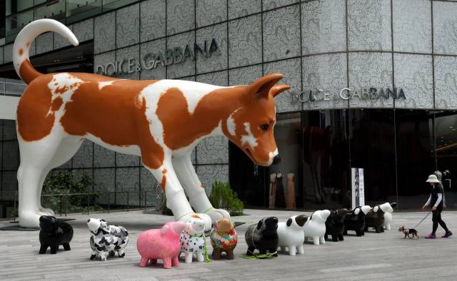 daily picdump 118 pics 1.html - 118 HD Photos | Premium Gallery 2015