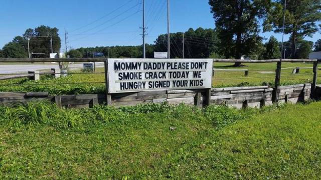 daily picdump 118 pics 1.html - 118 HD Photos | Premium Gallery 2015