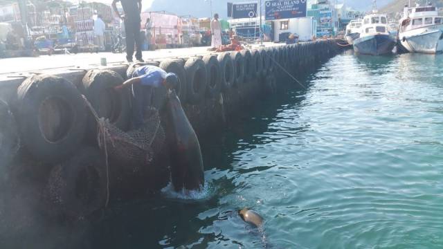 daily picdump 118 pics 1.html - 118 HD Photos | Premium Gallery 2015