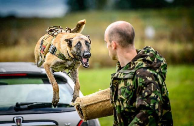 daily picdump 118 pics 1.html - 118 HD Photos | Premium Gallery 2015