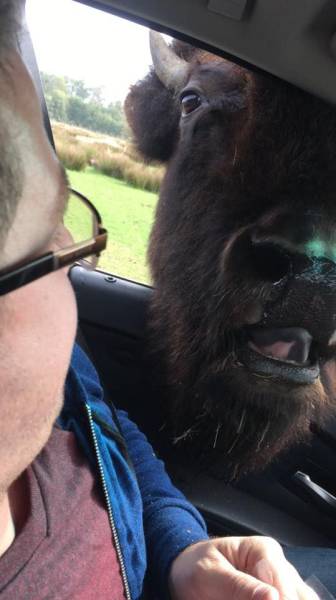 daily picdump 118 pics 1.html - 118 HD Photos | Premium Gallery 2015