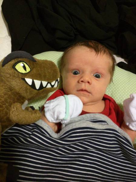 daily picdump 118 pics 1.html - 118 HD Photos | Premium Gallery 2015