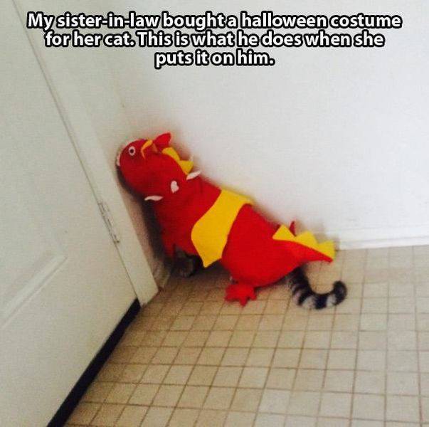 daily picdump 118 pics 1.html - 118 HD Photos | Premium Gallery 2015