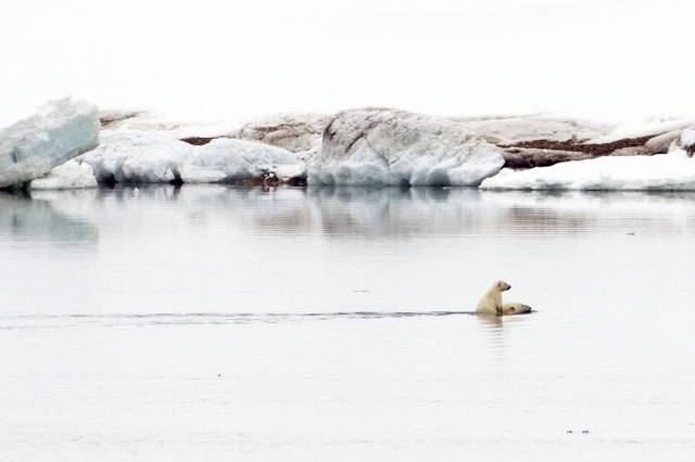 daily picdump 118 pics 1.html - 118 HD Photos | Premium Gallery 2015