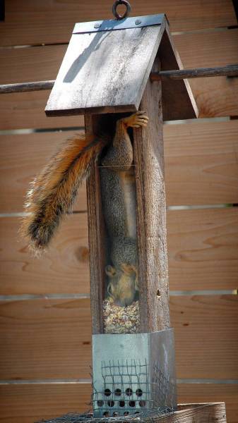 daily picdump 118 pics 1.html - 118 HD Photos | Premium Gallery 2015