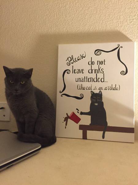 daily picdump 118 pics 1.html - 118 HD Photos | Premium Gallery 2015