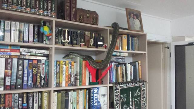 daily picdump 118 pics 1.html - 118 HD Photos | Premium Gallery 2015