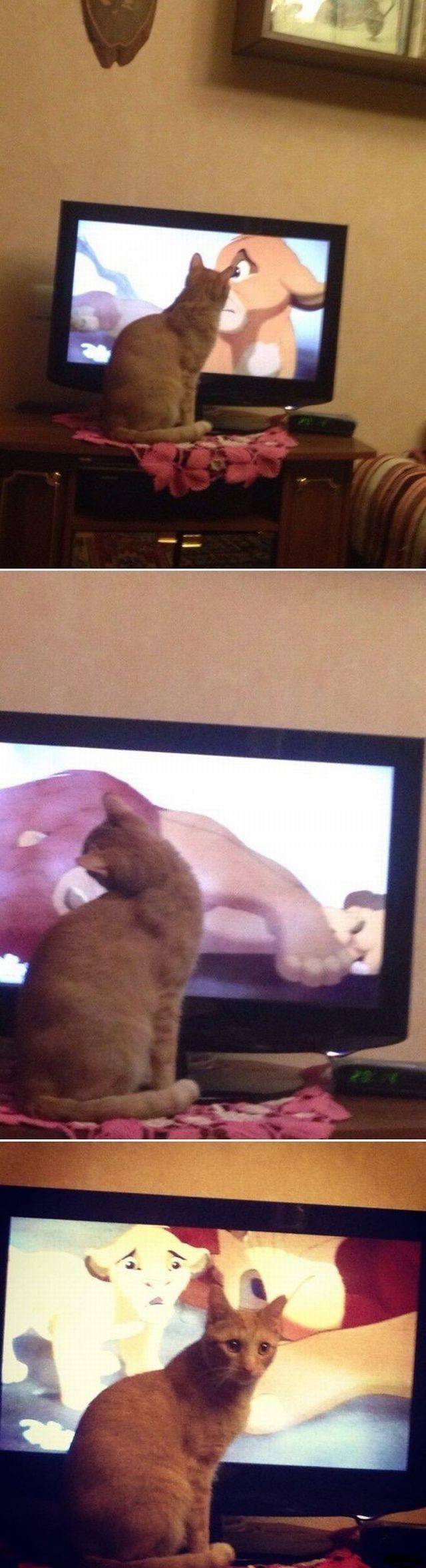 daily picdump 118 pics 1.html - 118 HD Photos | Premium Gallery 2015