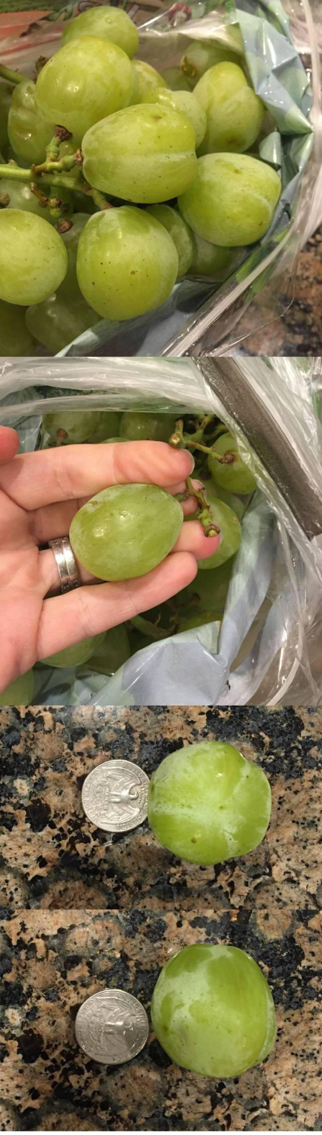 daily picdump 118 pics 1.html - 118 HD Photos | Premium Gallery 2015