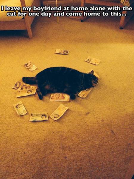 Couples Who Laugh Together Stay Together