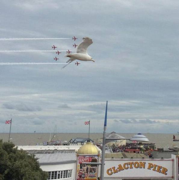 daily picdump 101 pics 74.html - 101 HD Photos | Premium Gallery 2015