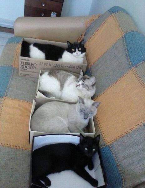 daily picdump 101 pics 74.html - 101 HD Photos | Premium Gallery 2015