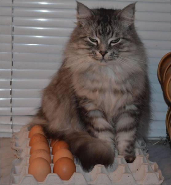 daily picdump 101 pics 74.html - 101 HD Photos | Premium Gallery 2015