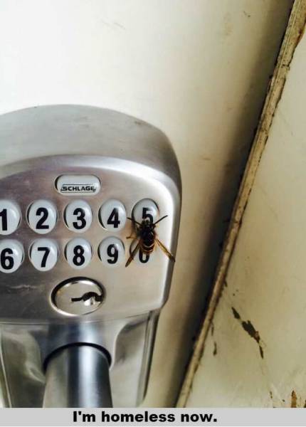 daily picdump 101 pics 74.html - 101 HD Photos | Premium Gallery 2015