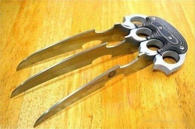 daily picdump 101 pics 74.html - 101 HD Photos | Premium Gallery 2015