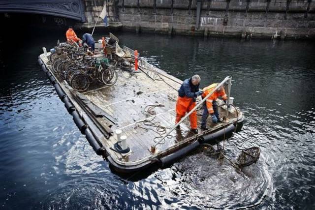 daily picdump 101 pics 74.html - 101 HD Photos | Premium Gallery 2015