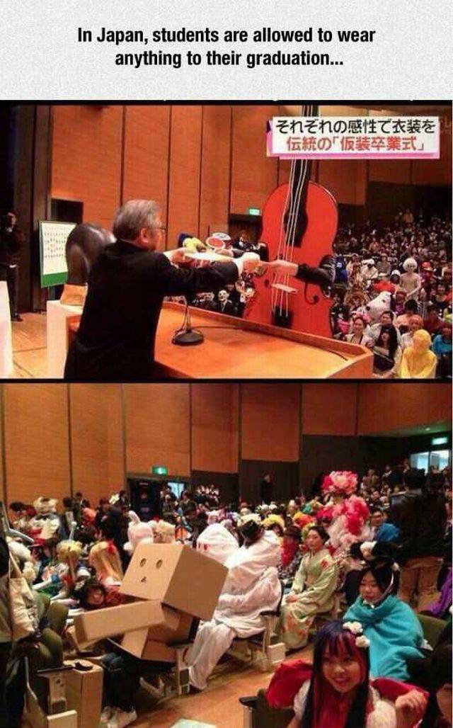 daily picdump 101 pics 74.html - 101 HD Photos | Premium Gallery 2015