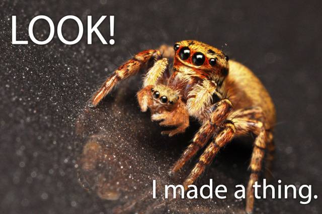 page,55,top 1500 daily pics of the year 2015.html - 1 HD Photos | Premium Gallery 2015