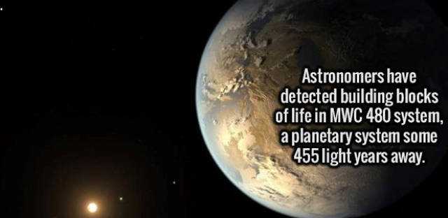 Interesting Facts about Anything and Everything