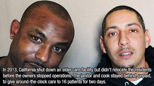 Interesting Facts about Anything and Everything