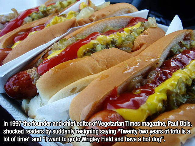 Interesting Facts about Anything and Everything