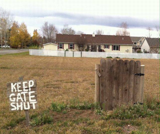 daily picdump 104 pics 10.html - 104 HD Photos | Premium Gallery 2015