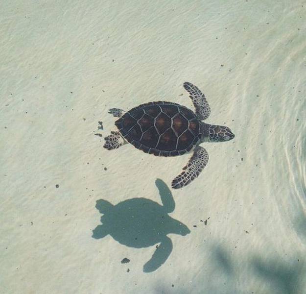 daily picdump 104 pics 10.html - 104 HD Photos | Premium Gallery 2015