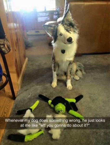 daily picdump 104 pics 10.html - 104 HD Photos | Premium Gallery 2015