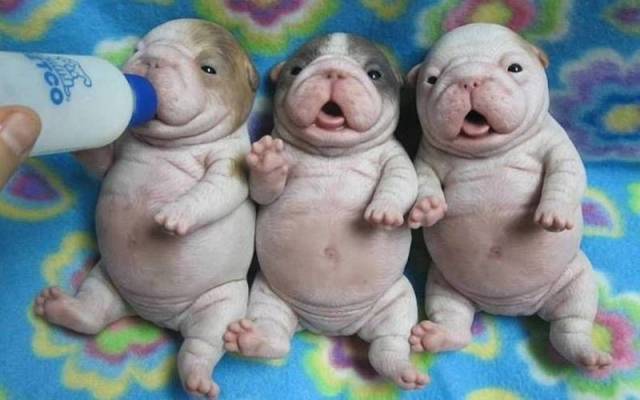 daily picdump 104 pics 10.html - 104 HD Photos | Premium Gallery 2015