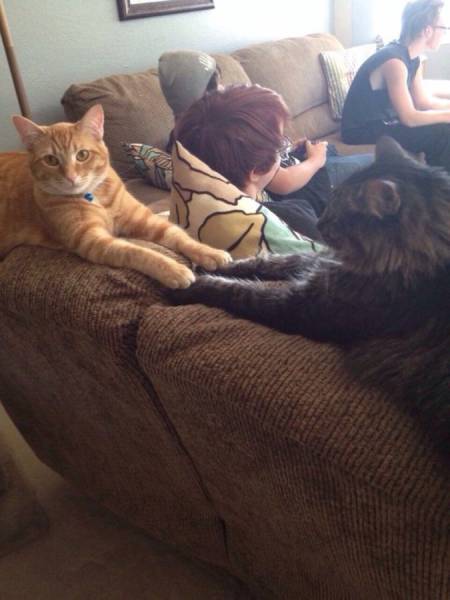 daily picdump 104 pics 10.html - 104 HD Photos | Premium Gallery 2015