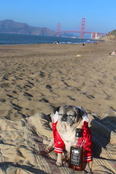 daily picdump 104 pics 10.html - 104 HD Photos | Premium Gallery 2015