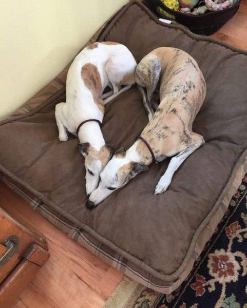 daily picdump 104 pics 10.html - 104 HD Photos | Premium Gallery 2015