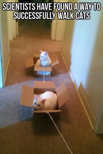 daily picdump 104 pics 42.html - 104 HD Photos | Premium Gallery 2015