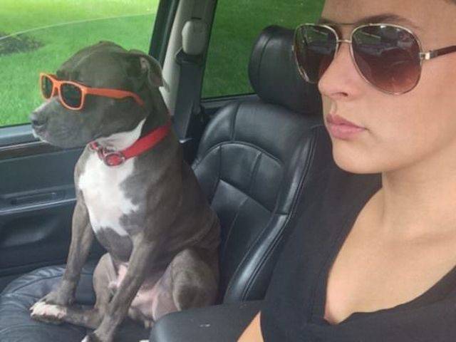 daily picdump 104 pics 42.html - 104 HD Photos | Premium Gallery 2015