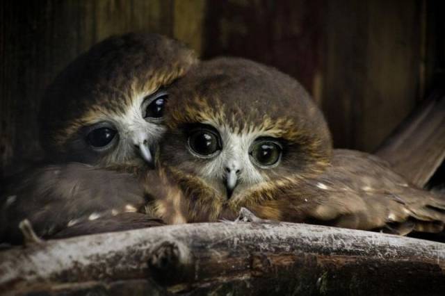 daily picdump 104 pics 42.html - 104 HD Photos | Premium Gallery 2015