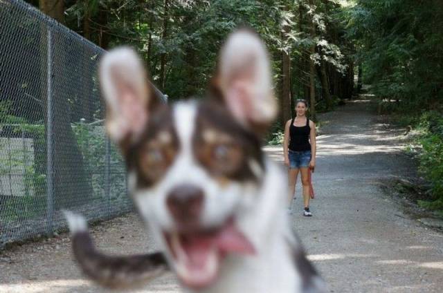 daily picdump 104 pics 42.html - 104 HD Photos | Premium Gallery 2015