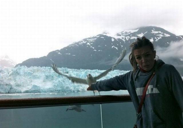 daily picdump 104 pics 42.html - 104 HD Photos | Premium Gallery 2015