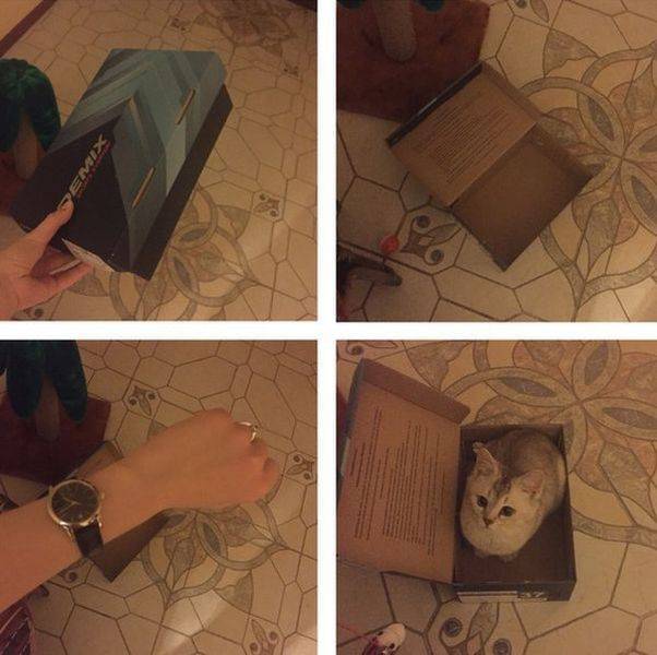 daily picdump 104 pics 42.html - 104 HD Photos | Premium Gallery 2015