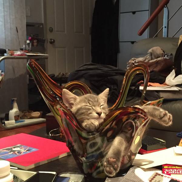 daily picdump 104 pics 42.html - 104 HD Photos | Premium Gallery 2015