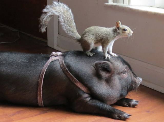 daily picdump 104 pics 42.html - 104 HD Photos | Premium Gallery 2015