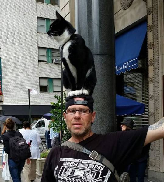 daily picdump 104 pics 42.html - 104 HD Photos | Premium Gallery 2015