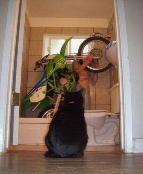 daily picdump 104 pics 42.html - 104 HD Photos | Premium Gallery 2015