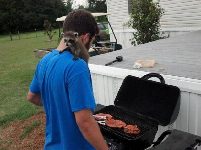 daily picdump 104 pics 42.html - 104 HD Photos | Premium Gallery 2015