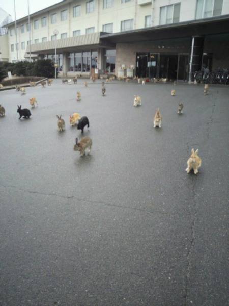 daily picdump 104 pics 42.html - 104 HD Photos | Premium Gallery 2015