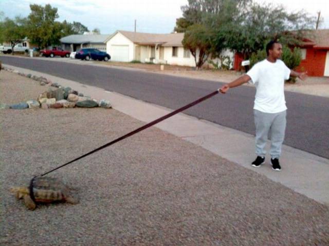 daily picdump 104 pics 42.html - 104 HD Photos | Premium Gallery 2015