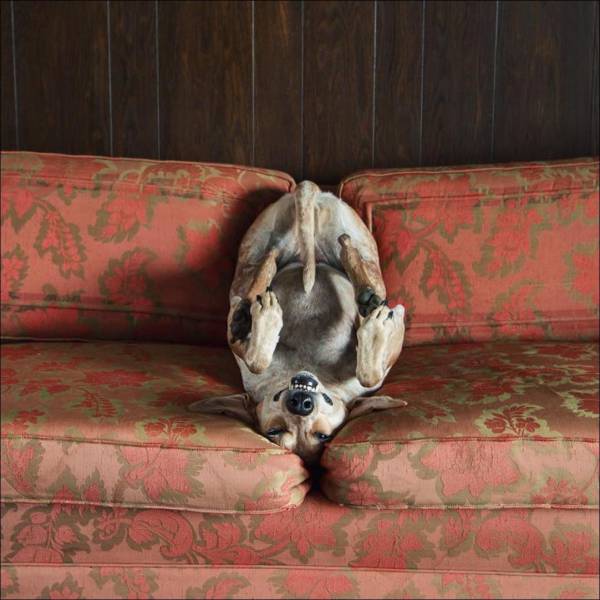 daily picdump 104 pics 42.html - 104 HD Photos | Premium Gallery 2015