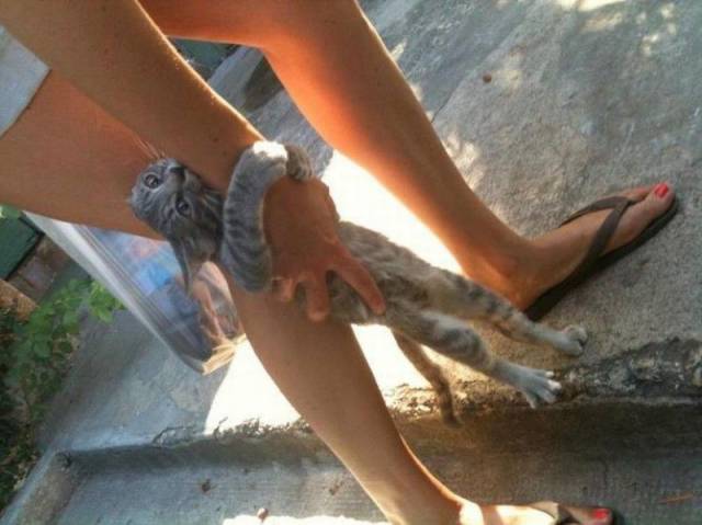 daily picdump 104 pics 42.html - 104 HD Photos | Premium Gallery 2015