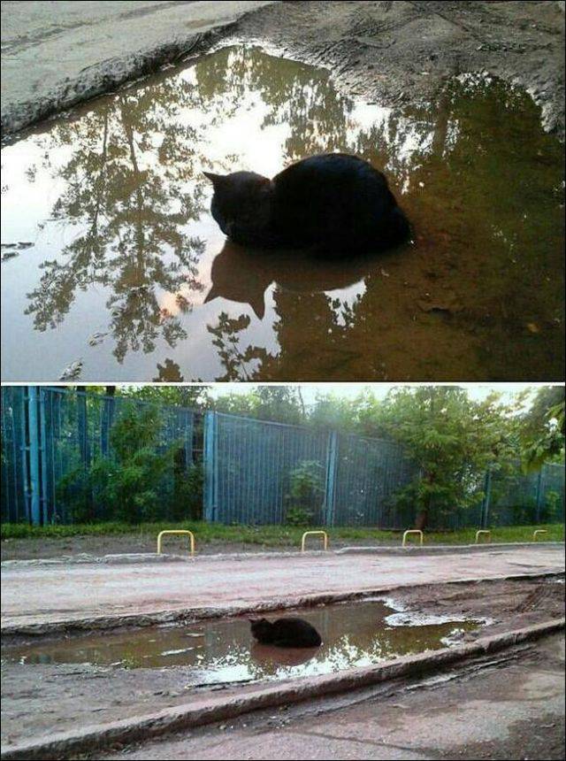 daily picdump 104 pics 42.html - 104 HD Photos | Premium Gallery 2015