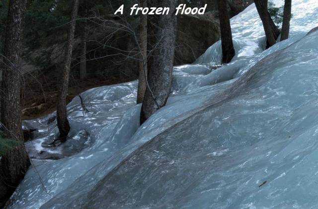 page,40,top 1500 daily pics of the year 2015.html - 1 HD Photos | Premium Gallery 2015