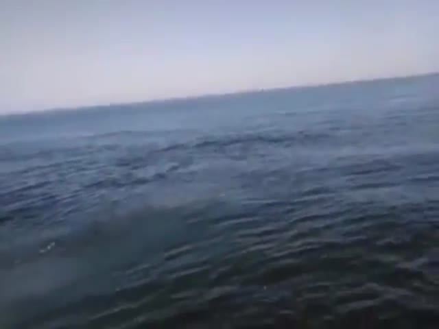 Fisherman Reels in a Surprising Sunfish Catch